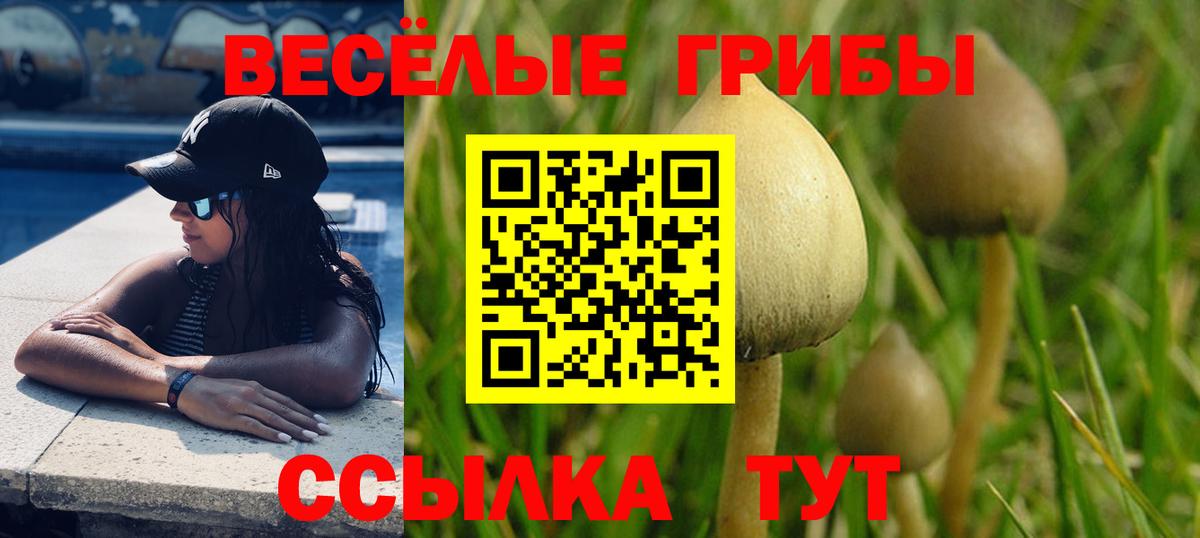 Псилоцибиновые грибы Psilocybe Лабытнанги